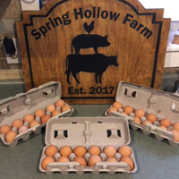 Spring Hollow Sign copy