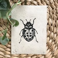 cicada and bloom