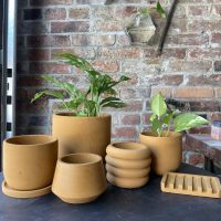 Growies Planters