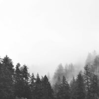 Marissa Evans Photography