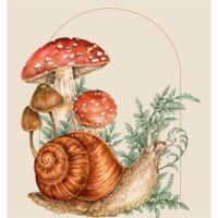 Marilyn Foehrenbach Illustration