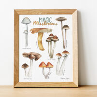 Photo  frames mockup