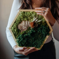Moss and Canvas