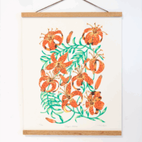 Sparkwell Press