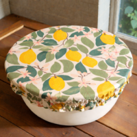 Funky Squirrel Designs