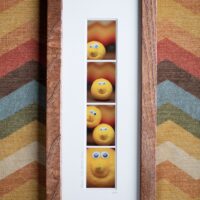 Nicole Munchel Photography