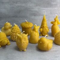 Spring Honeybees