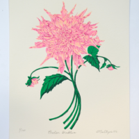 Sparkwell Press